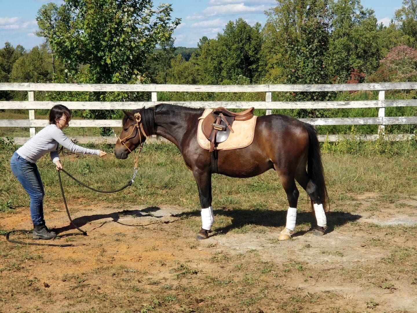 A woman feeding the horse